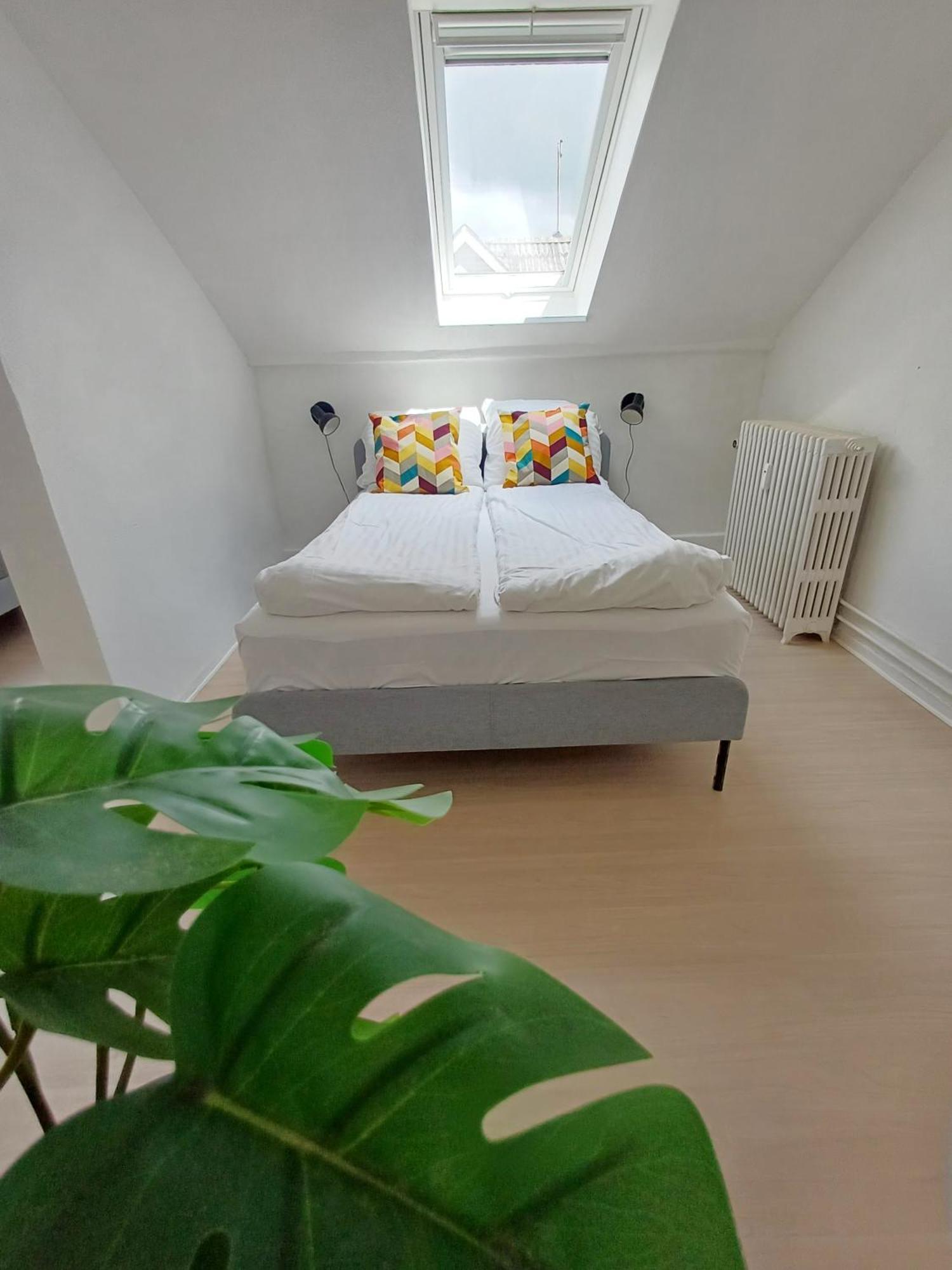 Grand 4 Persons Family Room With Free Parking Hjørring Buitenkant foto